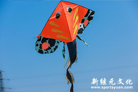 IM体育