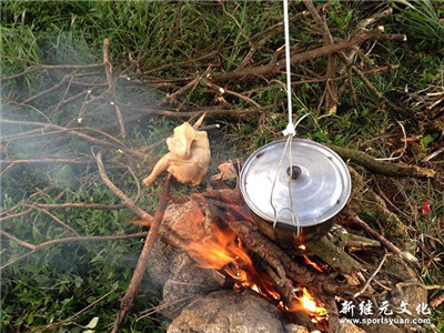 IM体育