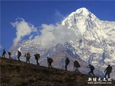 IM体育