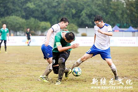 IM体育